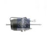 DT 1.18865 Spring-loaded Cylinder